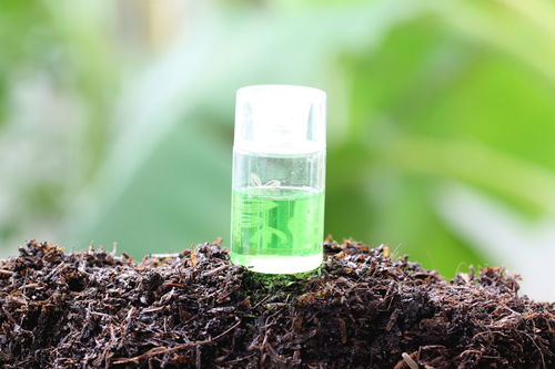 成熟的蔬菜无土栽培营养液配方