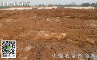草木灰可以与其他化学肥料混施吗
