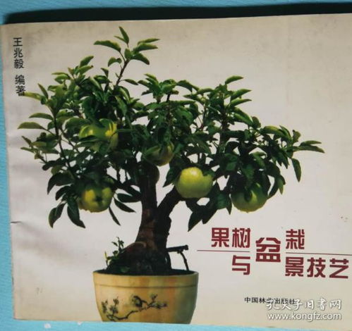 果树盆栽与盆景技艺