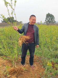 企业介绍