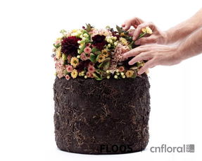 火柴 软管 泥土 你确定这些可以用来插花