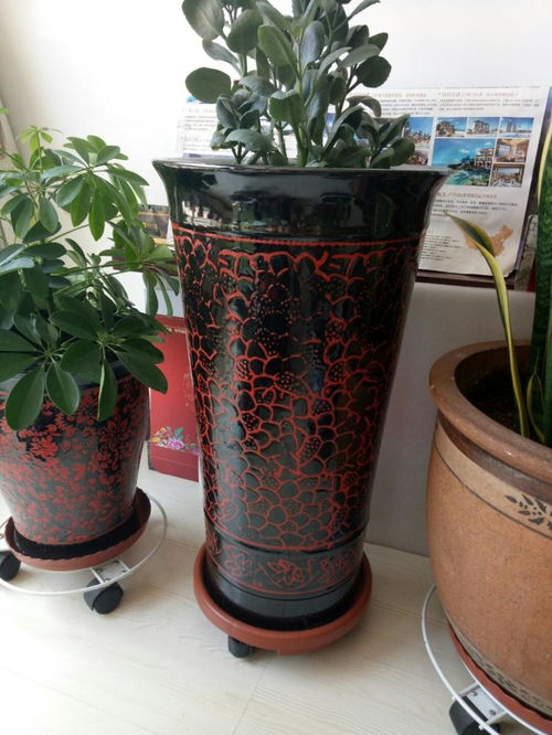 优惠券 十大品牌排行榜 哪个牌子好 元珍商城