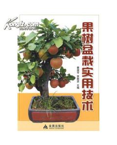 盆栽果树种类选择与营养土配制 书 光盘