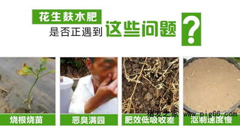用哪种发酵剂能够解决花生麸水肥很臭的问题