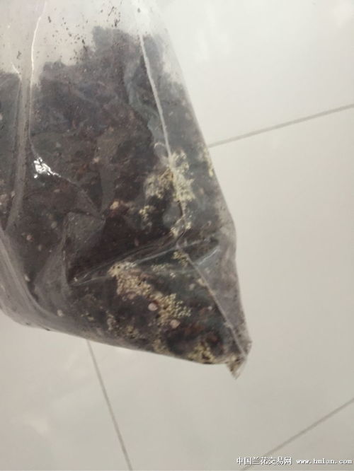 泥炭土发霉了还能用吗