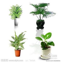 如何减少沤肥和施肥时发出的臭味