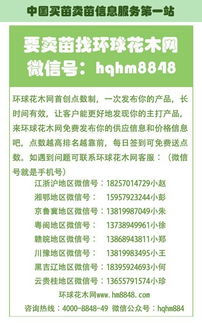 8种给土壤消毒方法,土壤消毒简单有效方法