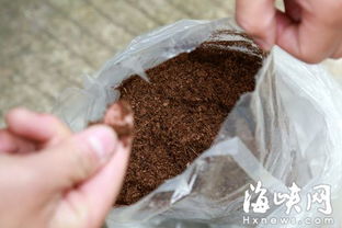 用过的营养土还能用吗,用过的营养土还能用吗视
