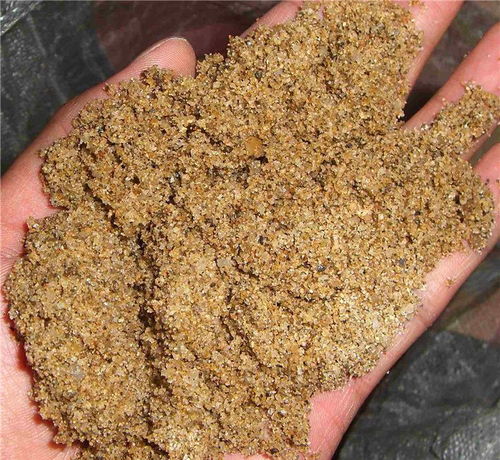 优惠券 十大品牌排行榜 哪个牌子好 元珍商城
