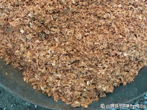 20种自制营养土,肥的流油,不用花钱买