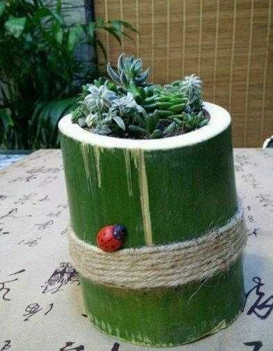待家里无聊,学习 8个技能 做花盆,1分钱不花,做出精品盆栽