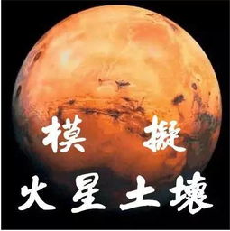 地球买不起房子 先学习在火星自己盖