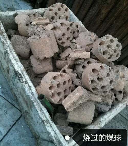 养花缺土 石头花匠分享1个免费 配方 ,30天制出肥沃黑土