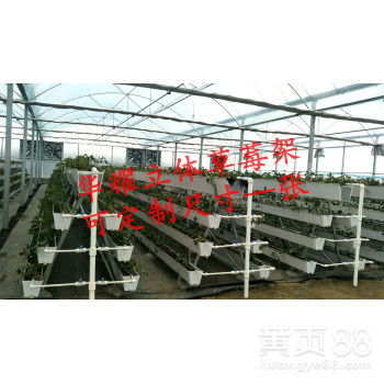 【温室大棚采摘园无土栽培草莓种植发展前景及趋势】-黄页88网