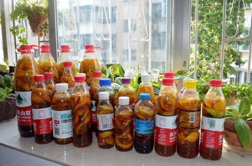 各种烂水果沤制的肥是什么肥—烂水果发酵完是