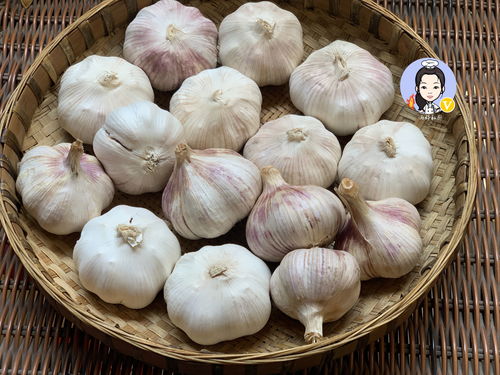 5月,大蒜最便宜,多买些,5种保存方式任选一种,能吃到来年 密封