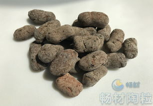 宁夏种花陶粒多少钱