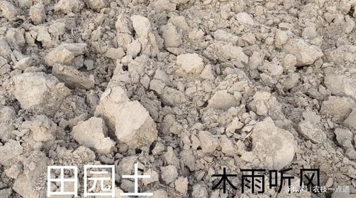 植物种植,如何将田园土,改造成肥沃的营养土 具体的改造方法