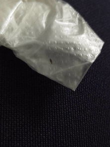 花盆里这种在土里爬来爬去的虫子是什么 