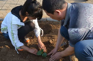 创新在我身边 2014年度青少年科学调查体验活动
