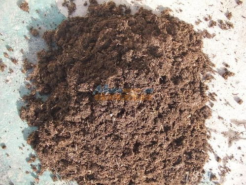 草炭土哪家好 草炭土哪家便宜 草炭土哪家实惠