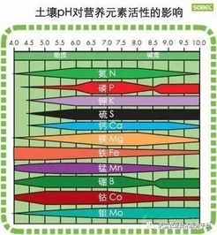 如何让土壤变酸性土壤—怎样简单的测土壤酸碱