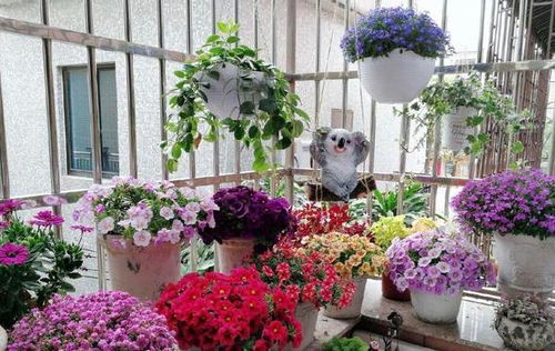 养花旧土该如何重复利用 掌握这些,不用多费劲就能变成新土