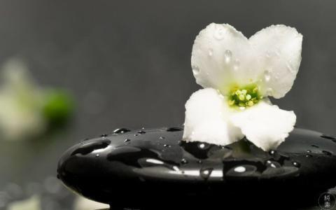 书法菩提 夷门民国书法人物 陈雨门 许钧