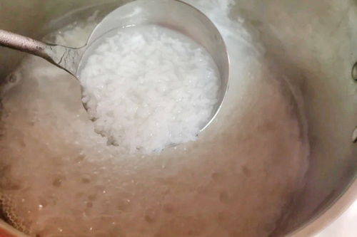 煮粥该用开水还是冷水 很多人不懂,掌握5个窍门,粥稠滑味香浓