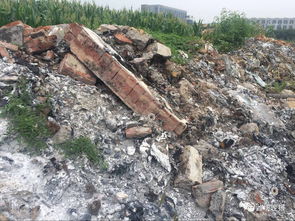 趁黑偷倒废料,企业被关停 煤渣水随雨流,绿化树遭殃 