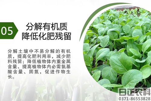 新乐有机土壤改良,富硒土壤改良代理