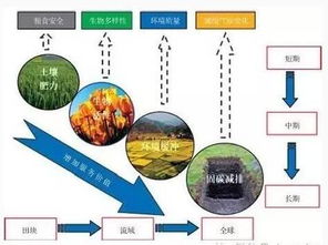 提升土壤有机质的秘密 法宝
