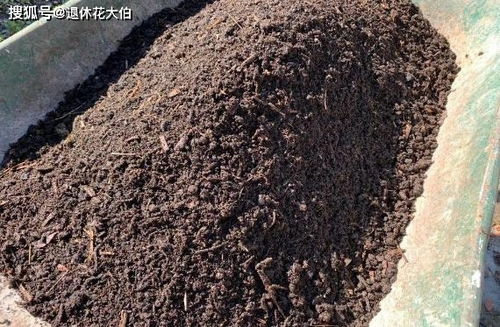 养花配土篇 园土 煤渣 泥炭土等等,该怎么用好