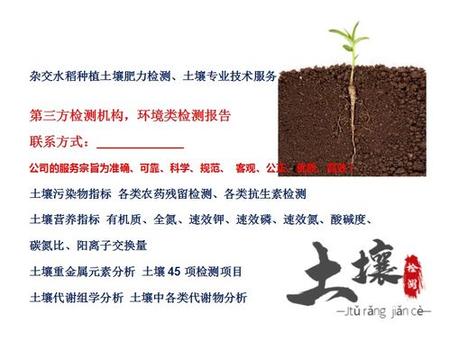 珠海市农业种植土壤检测,园林绿化土壤检测单位