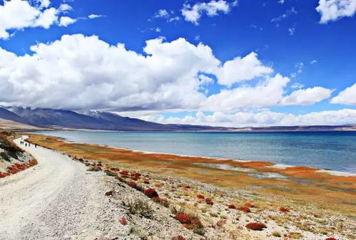 走过边境九城,领略过不一样的风景,才知道地大物博的中国不是说说而已