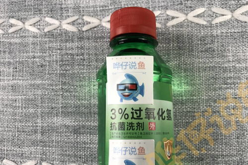 不敢给宠物鱼喂活食 哗仔独家消毒妙招,为观赏鱼奉上安心美食