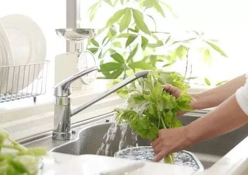 冬天家家都有的4种 废水 ,浇花太好用了,花草越长越茂盛