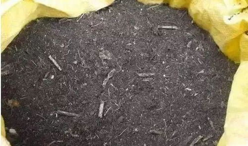 养花用 好土 ,养啥旺啥,10分钟教你做1盆,比买的强100倍