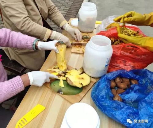变废为宝 ,厨余垃圾种出绿色芽菜