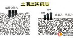 粘性土壤