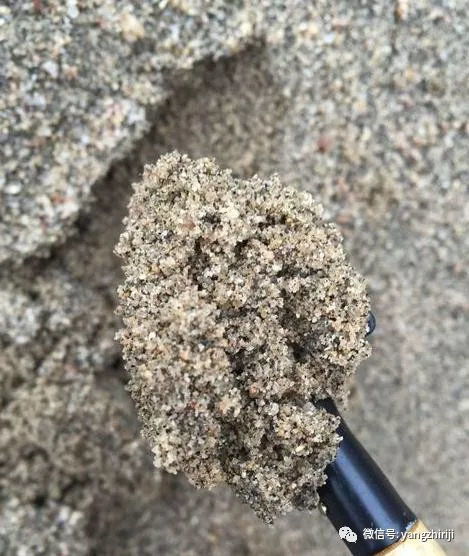 精髓 教你怎么在家自制营养土,比外面买的好多了