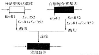 下列关于种群.群落.生态系统的叙述.正确的是A. 生态系统的结构包括生产者.消费者.分解者和非生物的物质和能量B. 调查土壤小动物丰富度的方法是记名计算法或目测估计法