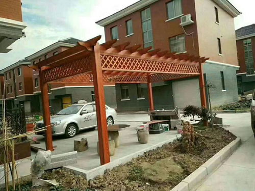 自家院子葡萄架图片