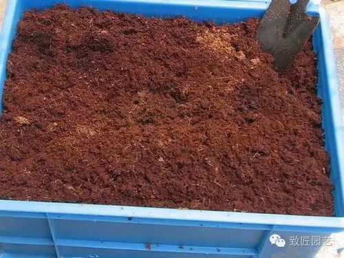 不花钱 又简单的营养土制作方法