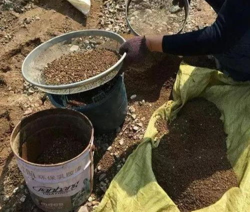 养花缺不了营养土 不想要花钱买,就添加上它们,比买的还好