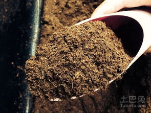 泥炭土制作能通过人工进行吗