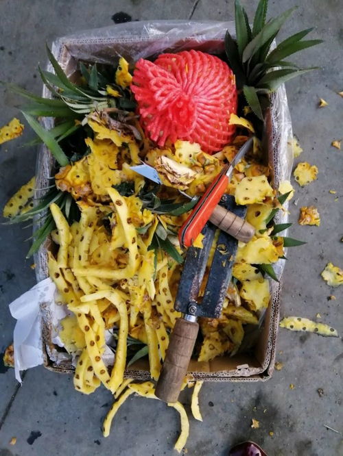 自制花肥太臭 6个小妙招,帮你解决异味难题