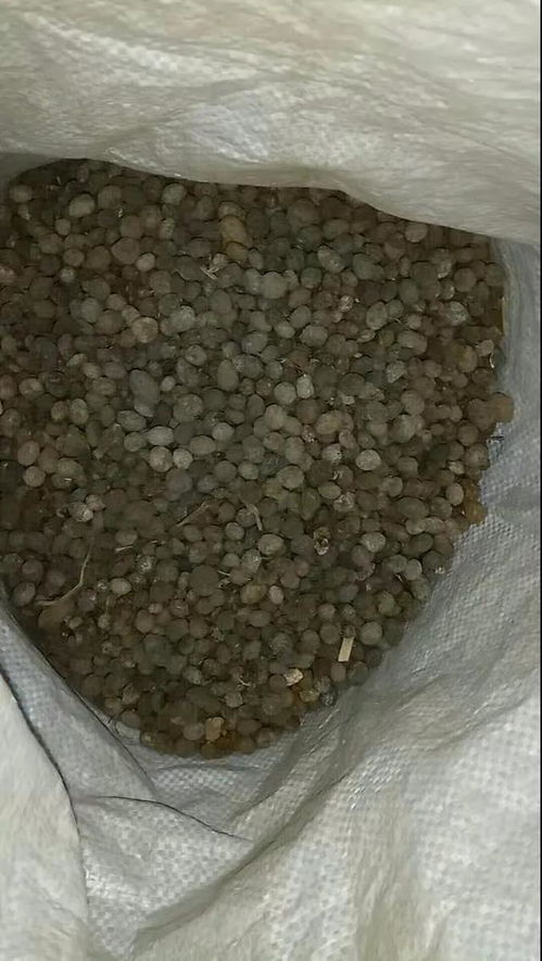 一种特殊肥,知道的人少用的少,埋在盆里补肥透气,啥花都开得旺