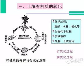 土壤有机质的提升