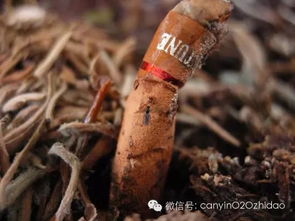 餐饮人的欢乐时光,泥玛笑抽了